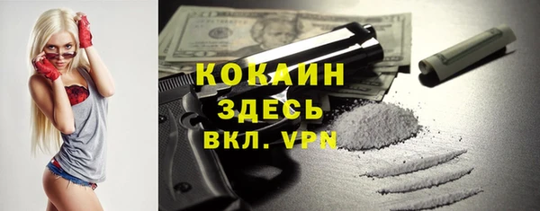 МДПВ Каменногорск