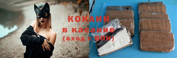 МДПВ Каменногорск