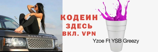 МДПВ Каменногорск