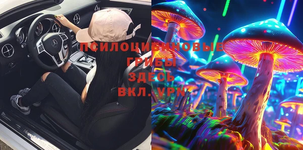 МДПВ Каменногорск