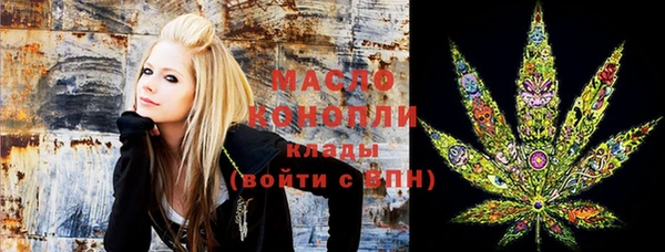 МДПВ Каменногорск