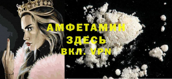 МДПВ Каменногорск