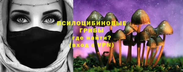 крисы Каменск-Шахтинский