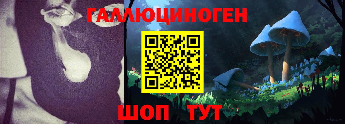 Галлюциногенные грибы Psilocybe Ангарск