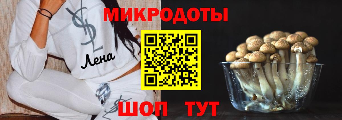 Галлюциногенные грибы Psilocybine cubensis  Ангарск 